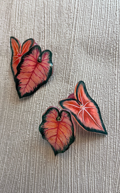 Caladium „Mixblätter“ – Duo-Ohrringe