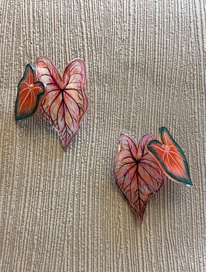 Caladium „Mixblätter“ – Duo-Ohrringe
