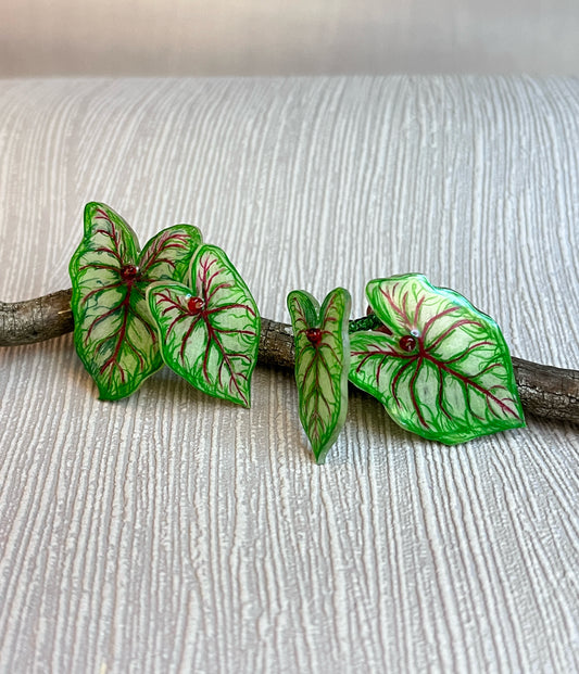 Caladium „Miss MÜffet“- Ohrringe