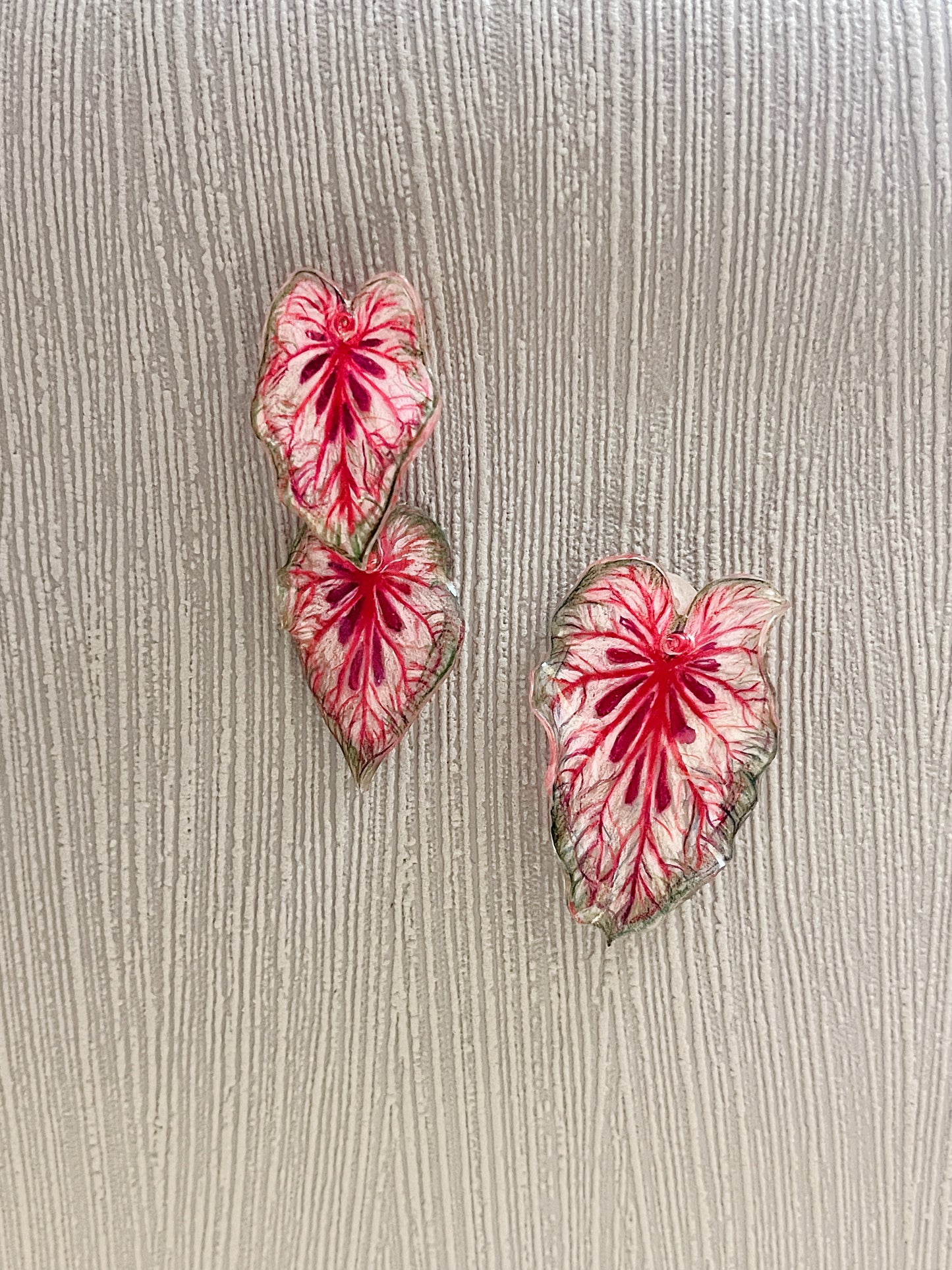 Caladium “Xplósiom"— Duo Ohrringe
