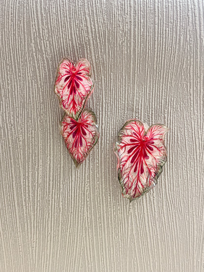 Caladium “Xplósiom"— Duo Ohrringe