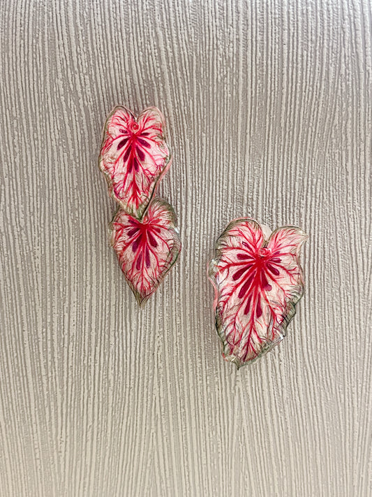 Caladium “Xplósiom"— Duo Ohrringe