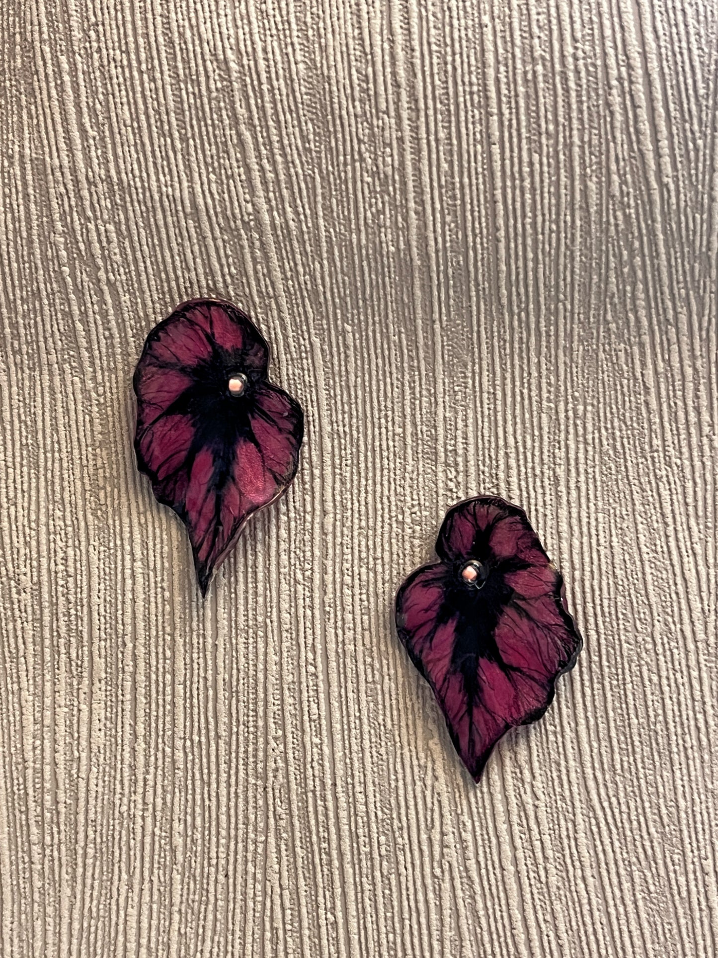 Begonia ‘Corrida’— Ohrringe