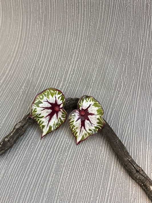 Caladium ´Sunburst Heart´— Ohrringe