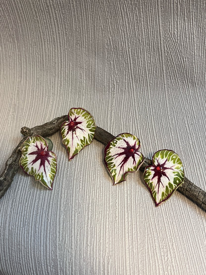 Caladium ´Sunburst Heart´— Ohrringe