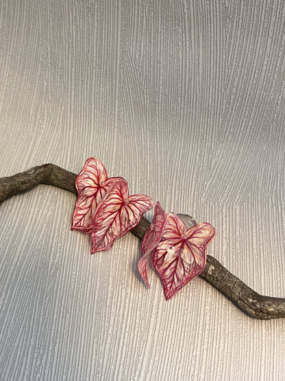 Caladium ´Pink Vein´- Ohrringe
