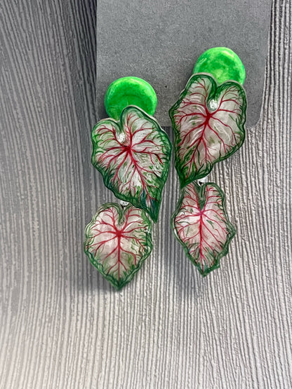 Caladium ´ White Queen` — Ohrringe