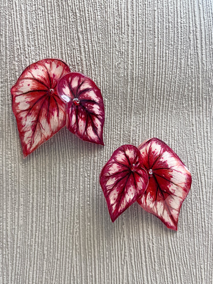 Begonia „ Tambourine “ - Earring