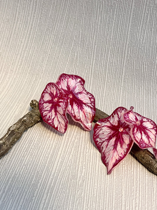 Begonia „Miss Coco“—  Ohrringe