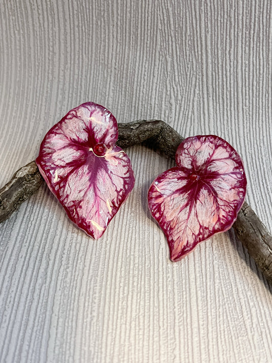 Begonia „Miss Coco“—  Ohrringe