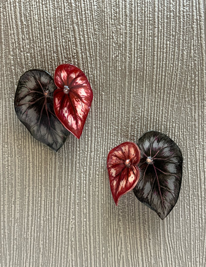 Begonia "Helen" — Mix Ohrringe