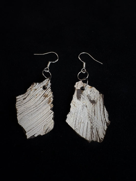 EARTH TONE — “ Echo of the Strata"