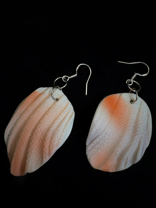 COLOR BLOOM — “Tideworn"