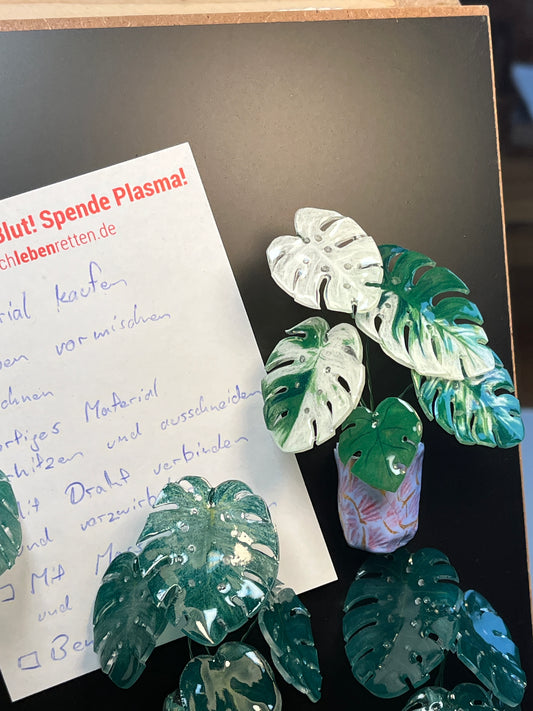 Monstera deliciosa ‘Albo Variegata’ –  Monstera Magnet