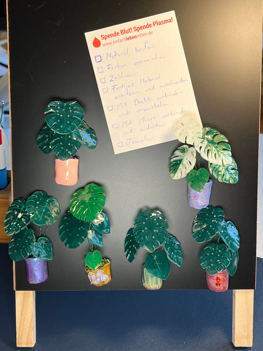 Monstera deliciosa ' Klassic' –  Monstera Magnet