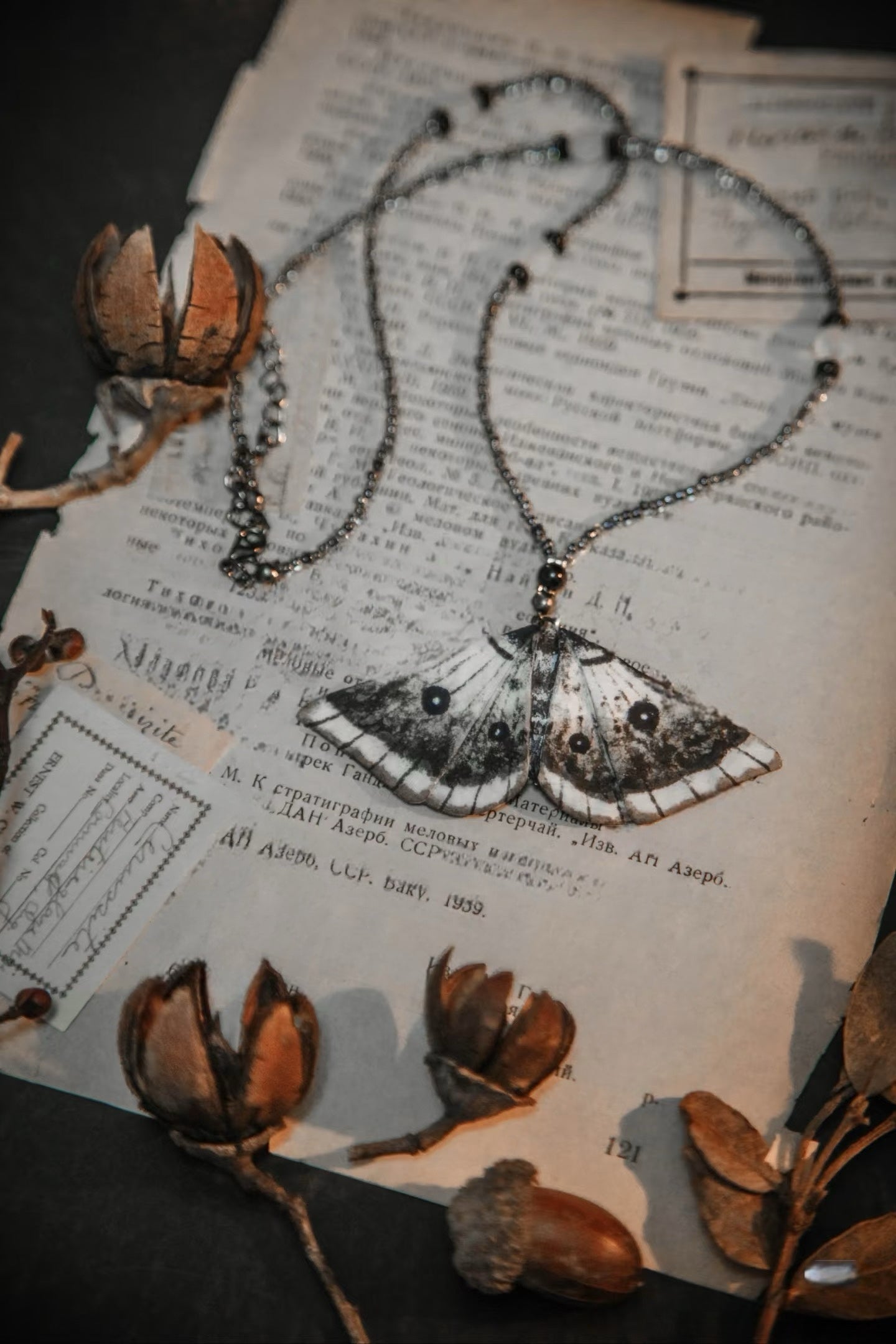 MINISEN – Moth I · Nocturne