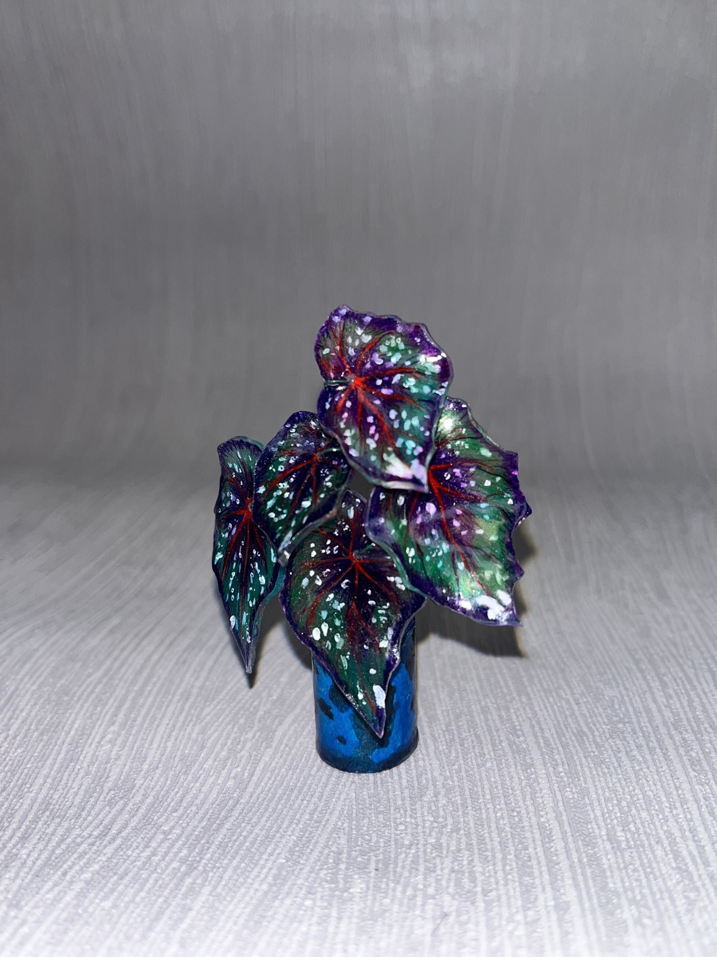 Begonia ‘African Jungle’ - Begonia Magnet