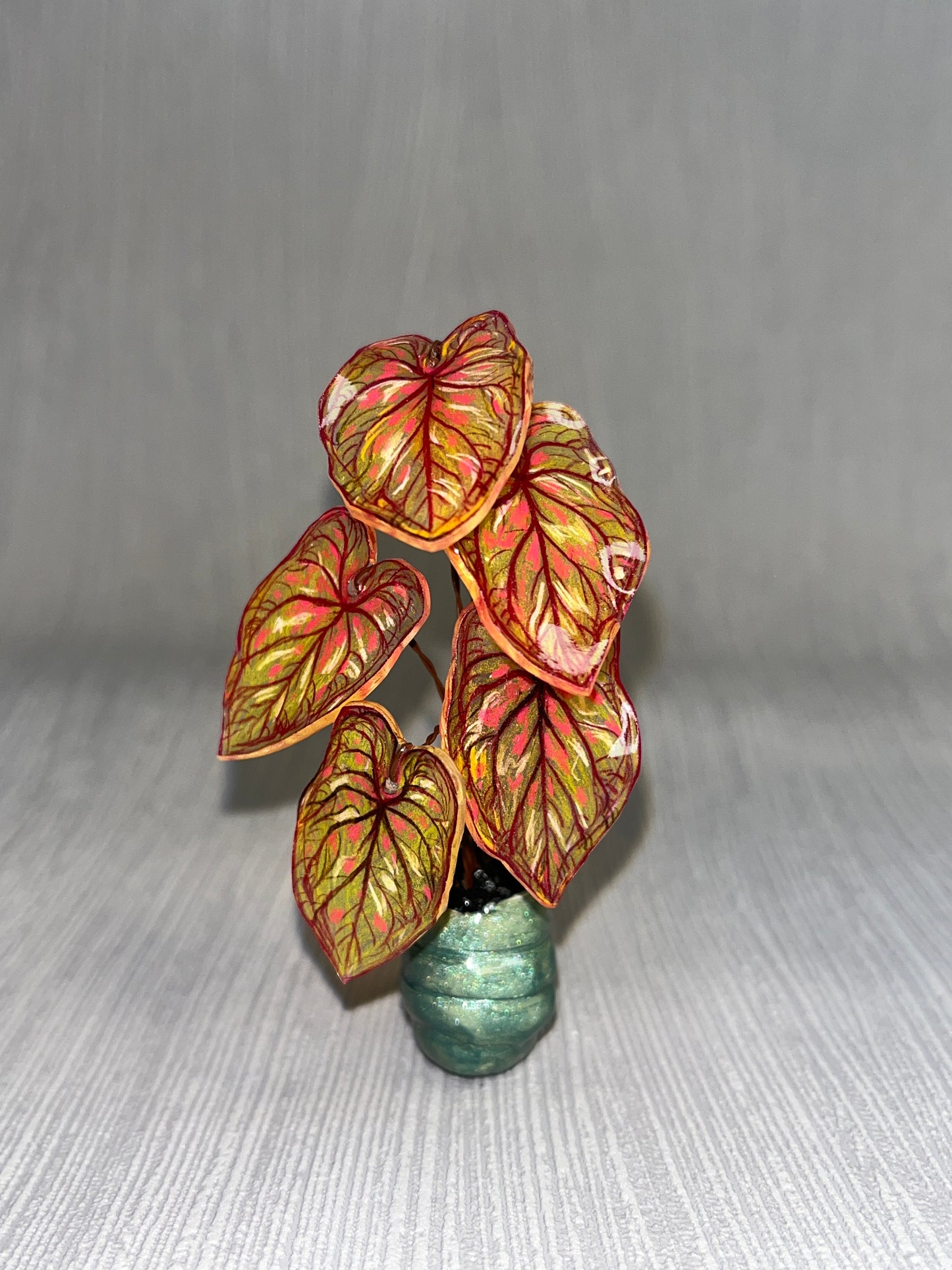Caladium “PandoraKing” –  Caladium Magnet