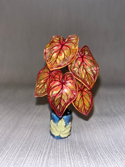 Caladium “PandoraKing” –  Caladium Magnet