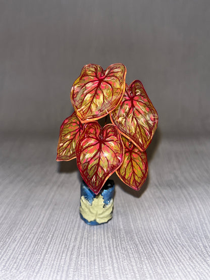 Caladium “PandoraKing” –  Caladium Magnet