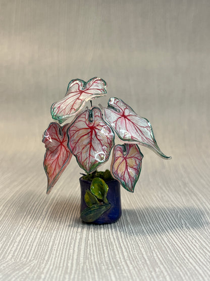 Caladium “Sweet Heart" –  Caladium Magnet