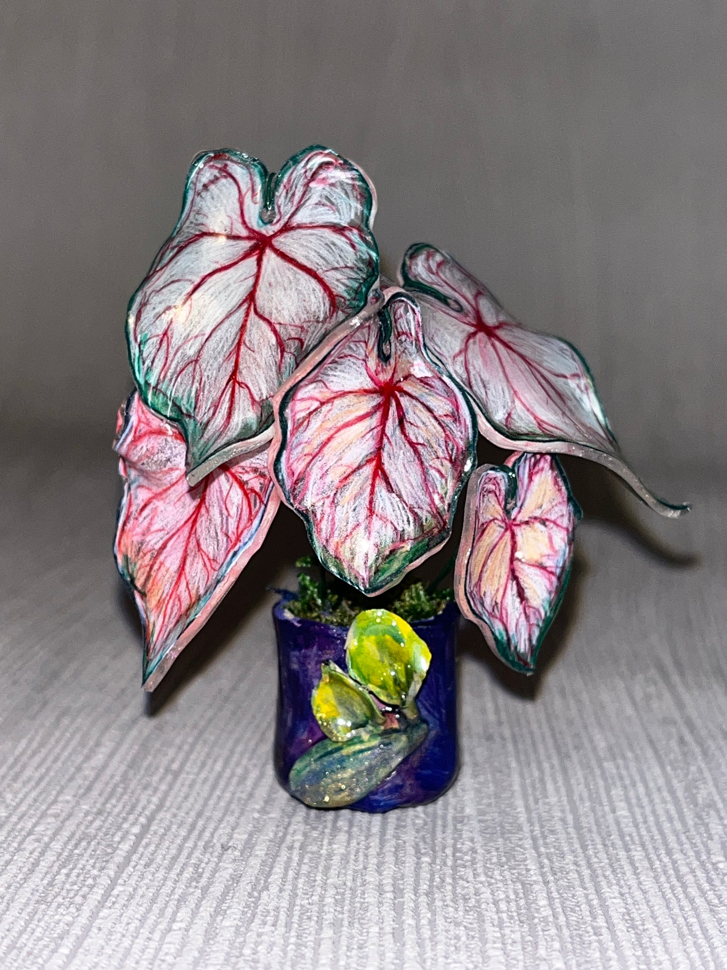 Caladium “Sweet Heart" –  Caladium Magnet