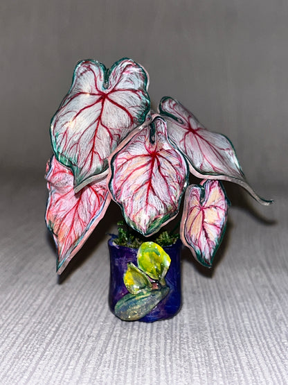 Caladium “Sweet Heart" –  Caladium Magnet