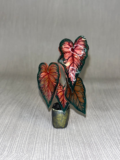 Caladium “Amber Heart” –  Caladium Magnet