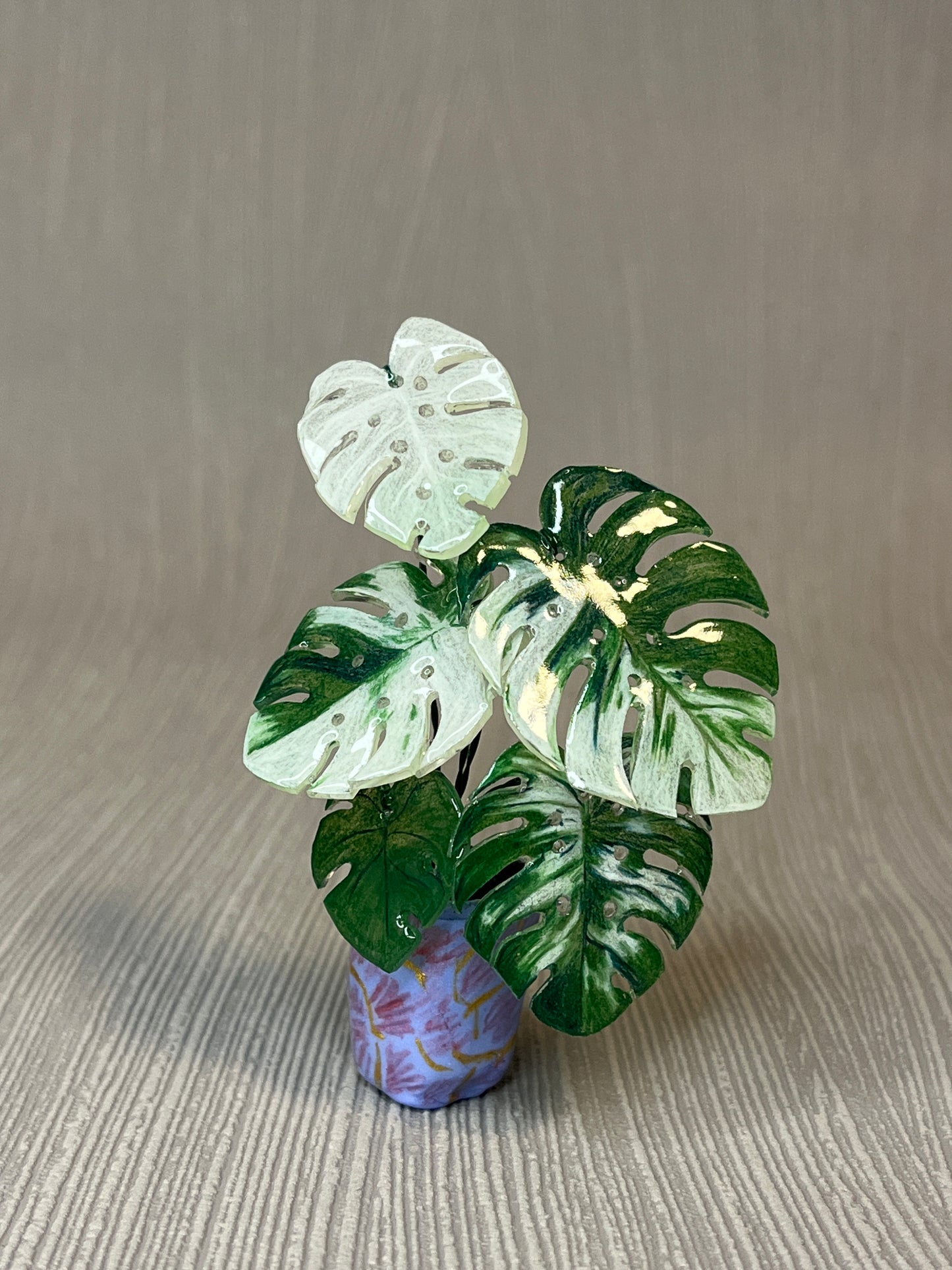 Monstera deliciosa ‘Albo Variegata’ –  Monstera Magnet
