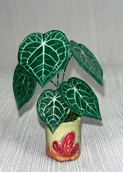 Anthurium “Clarinervium" –  Anthurium Magnet