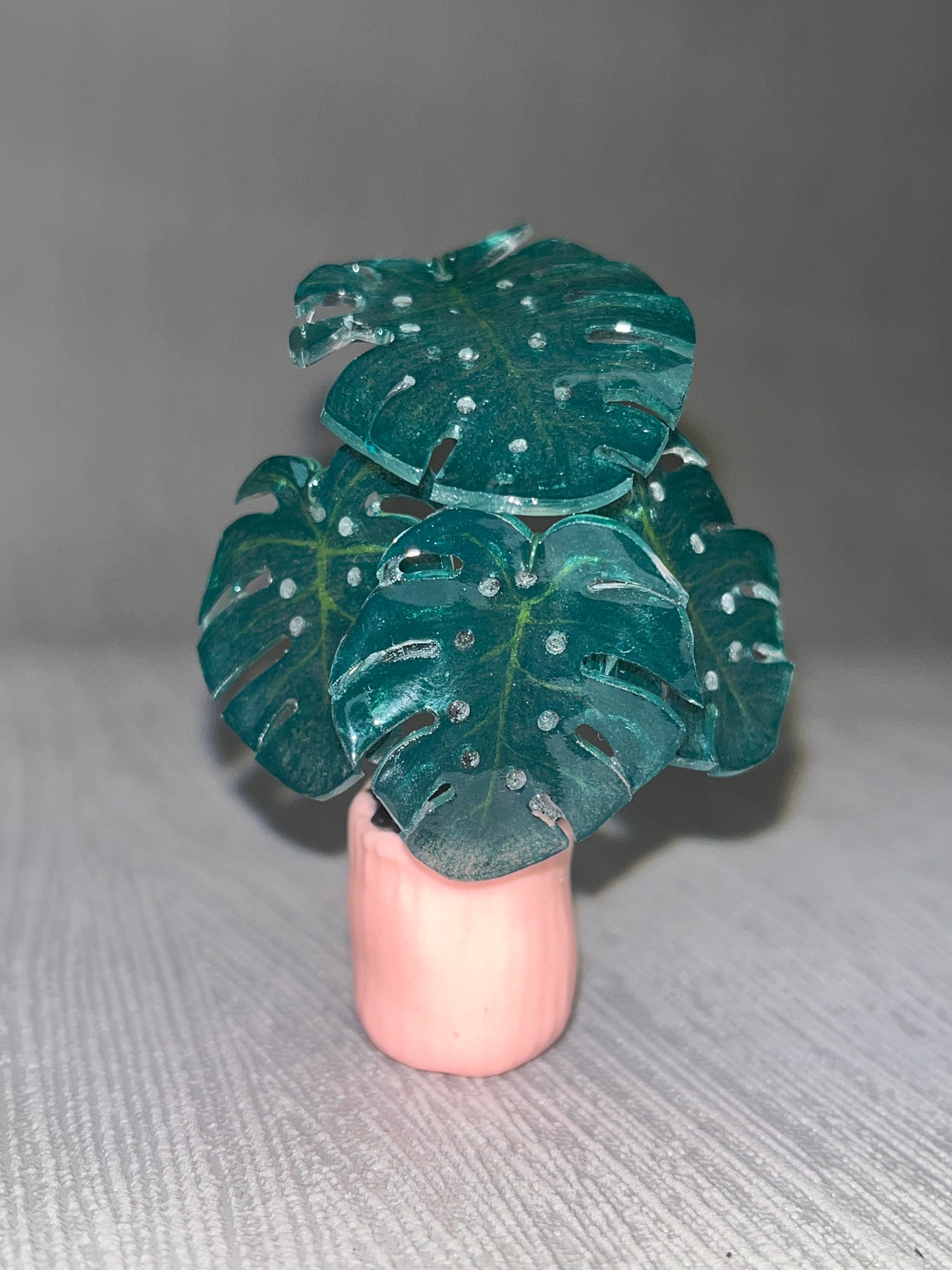 Monstera deliciosa ' Klassic' –  Monstera Magnet