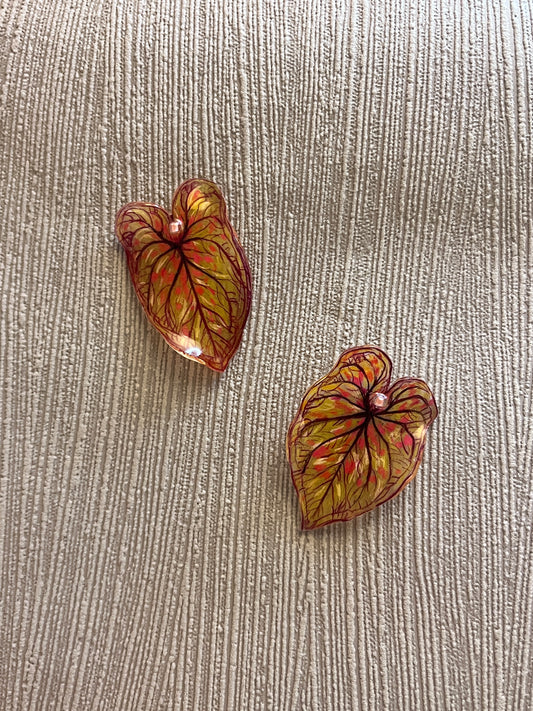 Caladium ‘PandoraKing´— Ohrringe