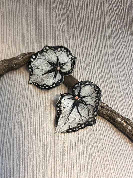 Begonia "Black Dress" — Ohrringe