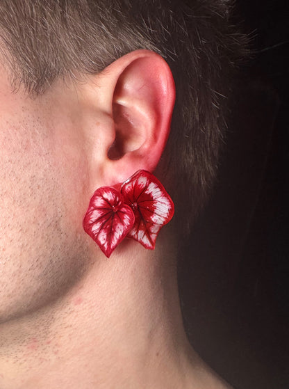 Begonia „ Tambourine “ - Earring