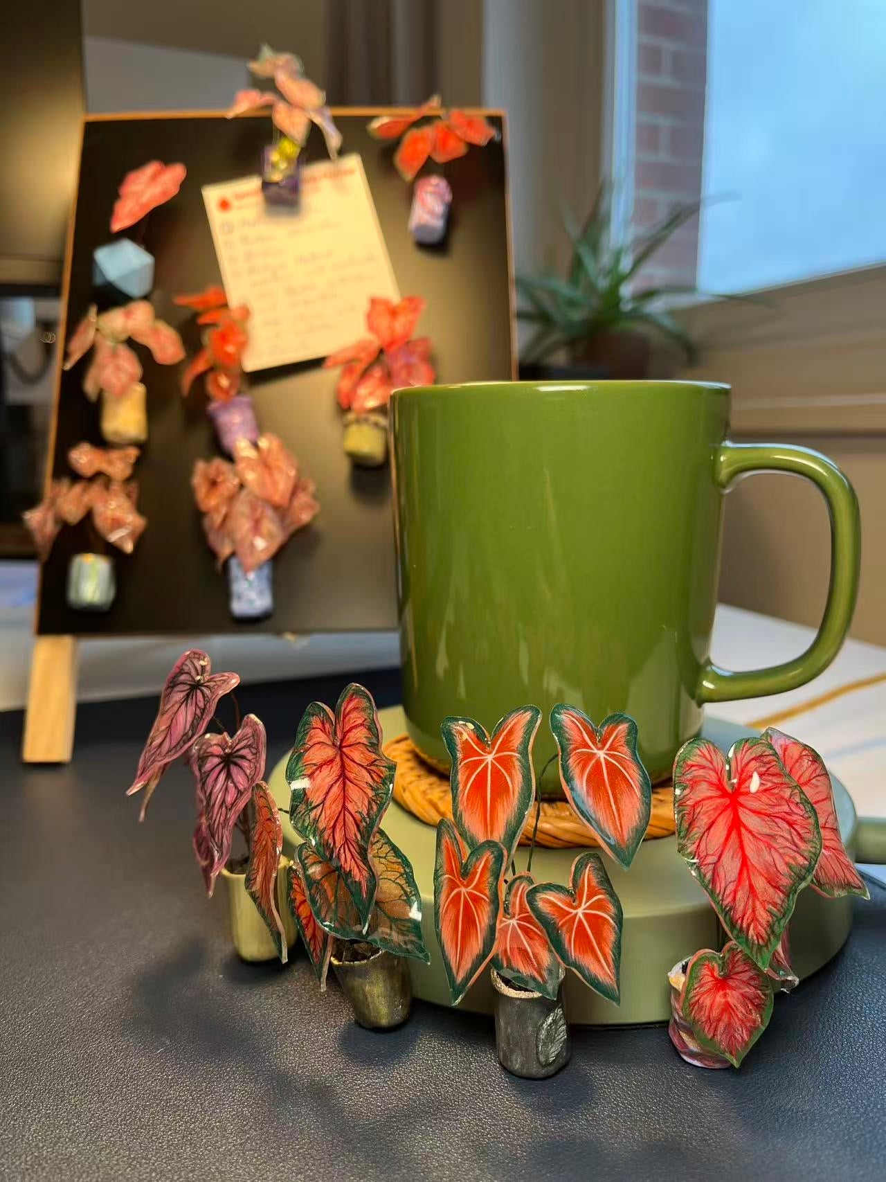 Caladium ‘Bicolor’–  Caladium Magnet